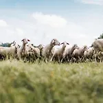Hirschenwirt فندق Eichstätt