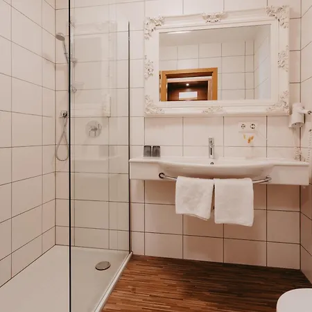 Hirschenwirt 3* Айхштет