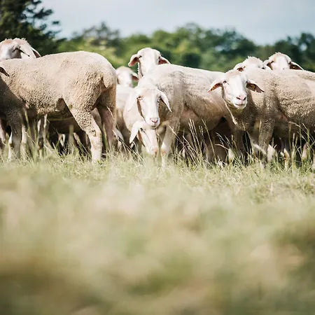 Hirschenwirt Hotel 3*