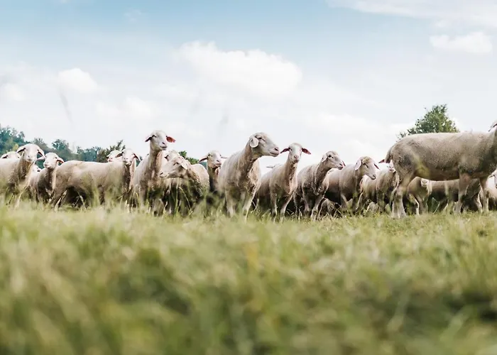 Hirschenwirt Otel Eichstätt